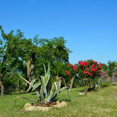 Farm stay 
